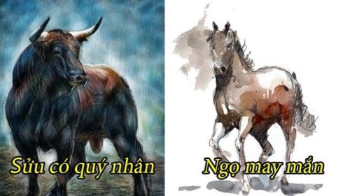 4 con giáp phất lên trong 4 năm tới