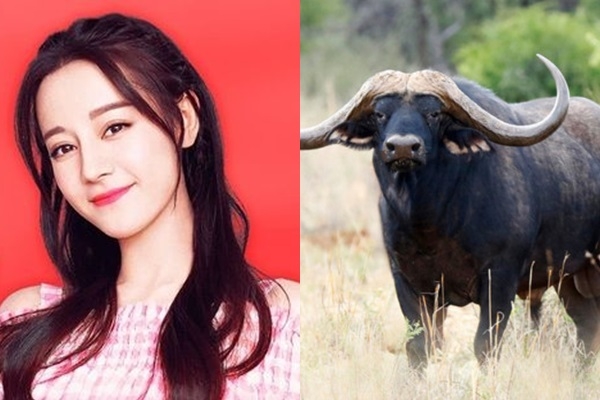 Tháng 10 dương: 4 tuổi Tiền - Tình đỏ như son, một bước đổi đời giàu sang sung túc