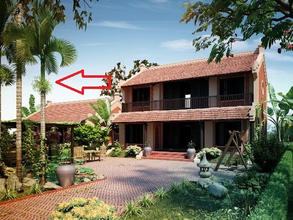 Các cụ dạy 4 loại cây trồng trước cửa nghèo kiệt xác, trồng sau nhà gia đình hưng thịnh