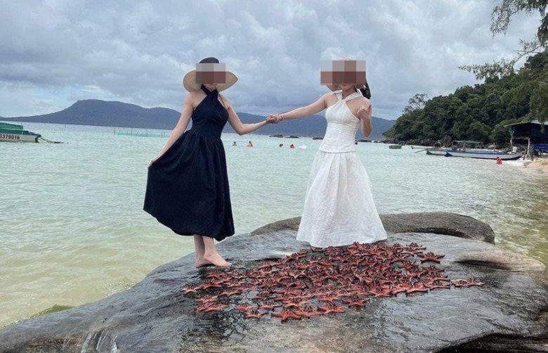 Nhóm 1 nam 2 nữ mang hơn 100 con sao biển phơi lên đá chụp ảnh ở Phú Quốc bị CĐM ném đá dữ đội