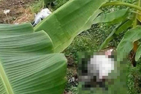 Thi thể cô gái xinh đẹp bị trói tay hé lộ tội ác kinh hoàng của kẻ sát nhân