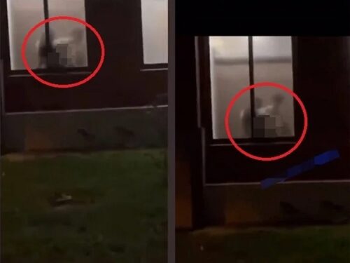 Cặp đôi hớ hênh trong nhà vệ sinh bị hàng trăm người chứng kiến