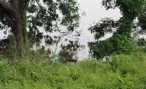 Đi câu cá, người dân phát hiện sự thật khó tin dưới đập nước