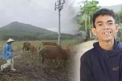 Hé lộ 'thế lực ngầm' giúp anh chăn bò Sô Y Tiết thu nhập khủng