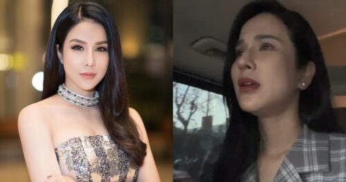 Diệp Lâm Anh hé lộ thế lực “khủng” sau cú sốc bị chồng cũ chặn xe, đuổi khỏi công ty