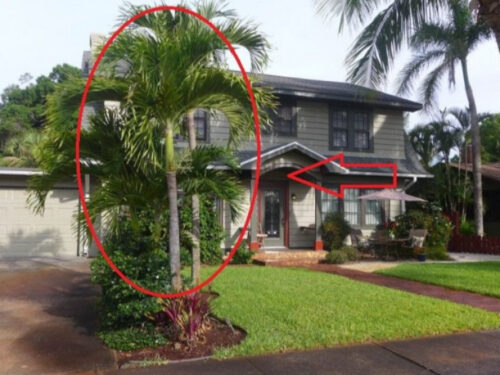 4 kiêng kỵ khi trồng cây trước cửa, làm đúng tài lộc chảy ào ào vào nhà, vận xui tránh xa