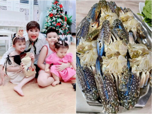 Vợ cũ 68 tuổi của Đàm Vĩnh Hưng đến nhà Vy Oanh, khen chồng đại gia của nữ ca sĩ