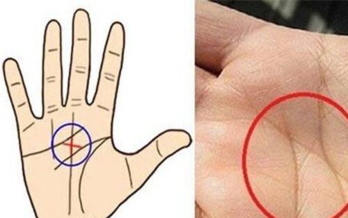 Lòng bàn tay có 3 dấu hiệu này, dù nam hay nữ đều có lộc, cả đời không lo thiếu tiền
