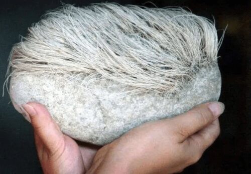 Nhặt được viên đá mọc ra mái tóc bạc phơ, người đàn ông sửng sốt khi khám phá ra sự thật