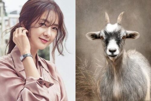 4 con giáp có khối tài sản “kếch xù” vào năm 2023!