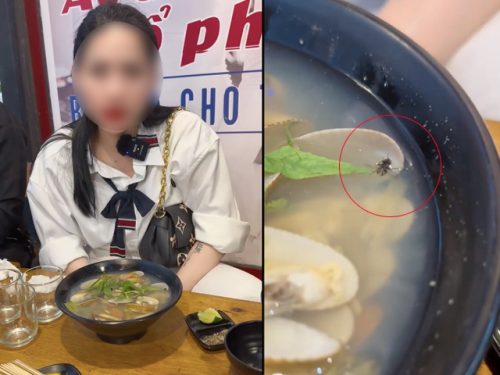 Quán ốc ở Huế bị nữ TikToker tố đồ ăn có ruồi lên tiếng xin lỗi, tạm thời đóng cửa