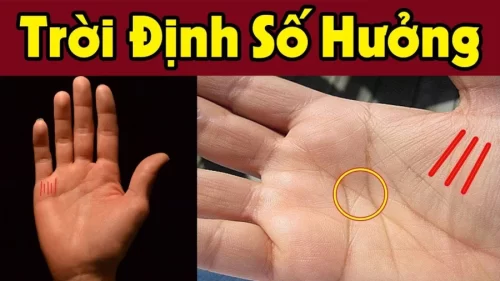 Thấy 4 dấu hiệu cực phẩm này trong lòng bàn tay đều có lộc, số hưởng đến già