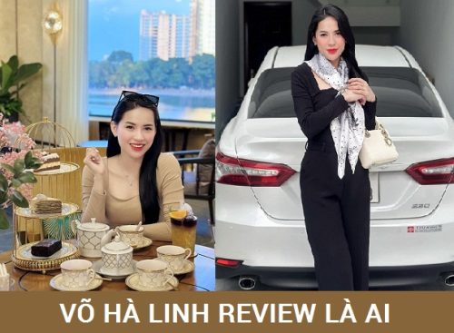 tiktoker võ hà linh là ai