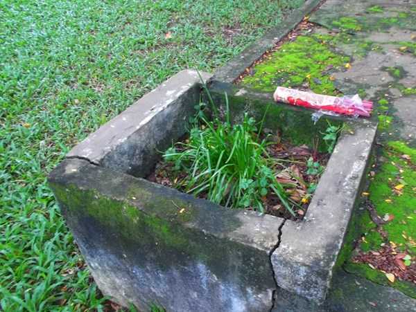 bí ẩn về ngôi mổ cổ trong khuôn viên đại học bách khoa tphcm