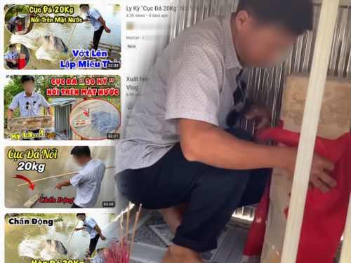 Hòn đá 20kg nổi trên mặt nước bỗng được lập miếu thờ, người dân hiếu kỳ đến xem