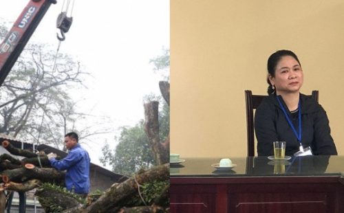 “Nữ đại gia” trả 73 tỷ đồng mua lô gỗ sưa ở Hà Nội nói gì sau khi thắng đấu giá?