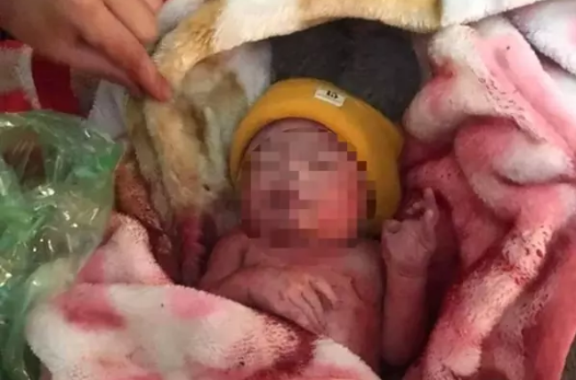 Vụ bé sơ sinh bị kiến bu khắp người ở Đắk Lắk: Lời thú nhận bất ngờ của người phụ nữ 20 tuổi