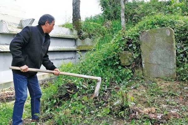 những loại cây không nền trồng trước mộ