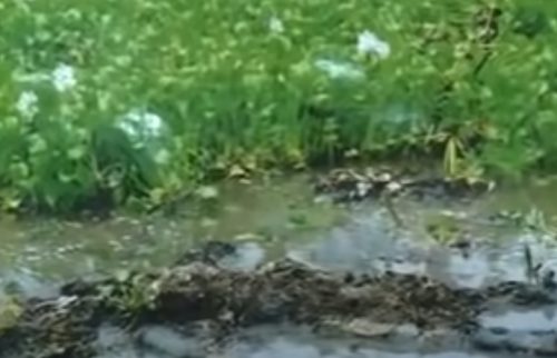 Chuyện về hai tử tù luôn thấy linh hồn cô gái mình sát hại