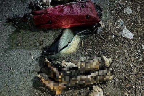 Manh mối quan trọng trong vụ án phân xác ở Bình Dương