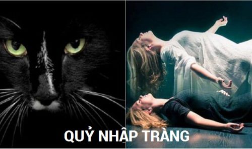 “Quỷ nhập tràng” - Mèo nhảy qua xác chết và những bí ẩn được hé lộ