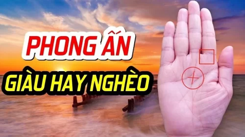 Bất kể nam hay nữ, lòng bàn tay có 3 đường chỉ này đều rất giàu, sinh ra đã hưởng phúc