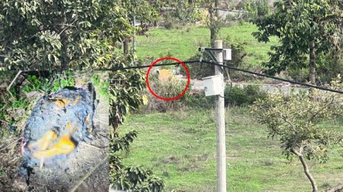 Vụ hai chân cháy xém ở Bình Dương: Phát hiện thêm 2 bàn tay có gắn móng giả