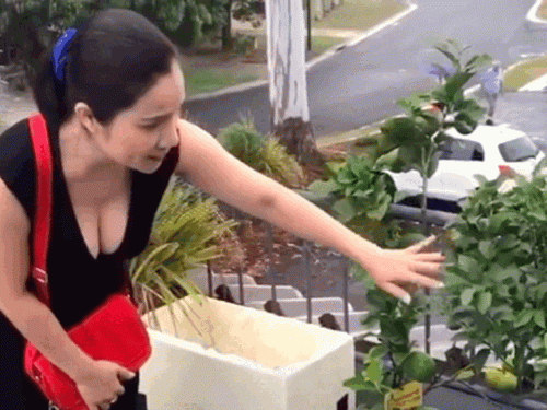 Bà mối Cát Tường khoe cơ ngơi gia đình nhìn phát mê ở Úc