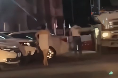 Vợ quấn độc khăn tắm, đuổi theo chồng từ khách sạn ra đường giữa đêm, lý do gây ngỡ ngàng