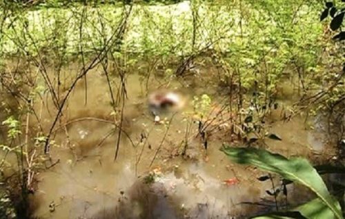 Cô gái chết dưới ao nửa đêm về báo mộng cho mẹ