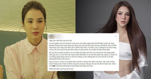Diệp Lâm Anh bị cõi mạng quay xe, chỉ trích "khôn quá hóa dại" vì điều này