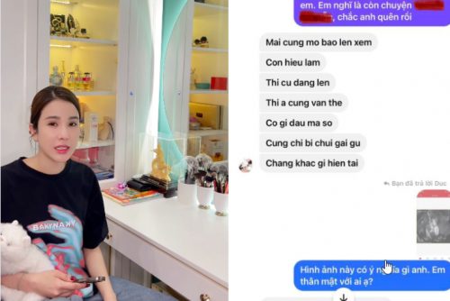 Bị chồng cũ tố mình ngoại tình trước sau đó mới quen Quỳnh Thư, Diệp Lâm Anh nói gì