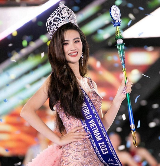 gia thế hoa hậu huỳnh trần ý nhi