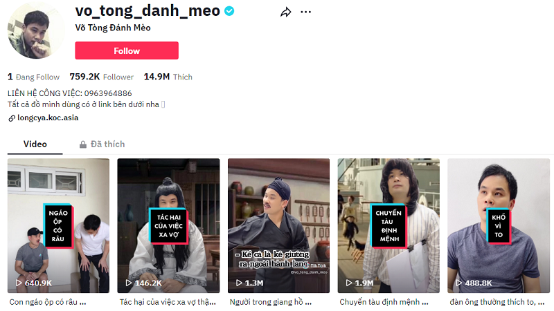 nguồn gốc Kênh tiktok võ tòng đánh mèo