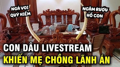 Hà Tĩnh: Con dâu livestream khiến mẹ chồng nhận bản án 24 tháng tù