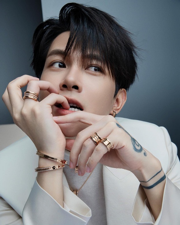 diễn viên anh tú là ai