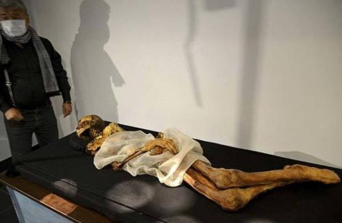 Sự thật xác ướp nàng công chúa nguyên vẹn cả hình xăm, chạm vào là hàng loạt lời nguyền ứng nghiệm