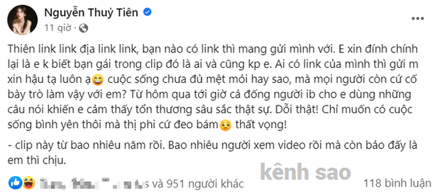 link tiểu hý