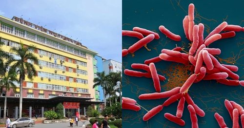 Nữ sinh ở Thanh Hóa mắc Whitmore: Không qua khỏi sau 2 tuần, bác sĩ cảnh báo nguy hiểm