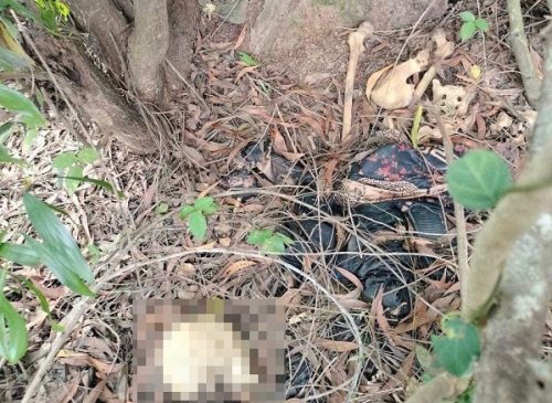 Bình Dương: Phát hiện bộ xương người bí ẩn trong bụi cây
