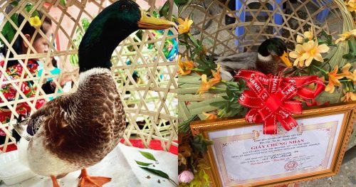 Một huyện ở Lạng Sơn tổ chức Hoa hậu Vịt