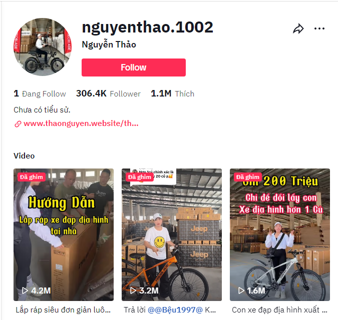 kênh tiktok của nguyễn thị thảo
