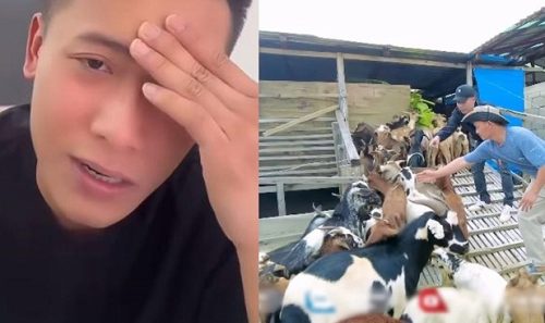 Quang Linh Vlogs bất lực khi dự án mới gặp biến cố, thừa nhận sai sót ở bản thân