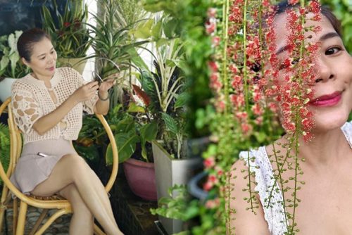 Sao Việt sở hữu tài sản khủng, sẵn sàng cho vay 200 tỷ không cần suy nghĩ