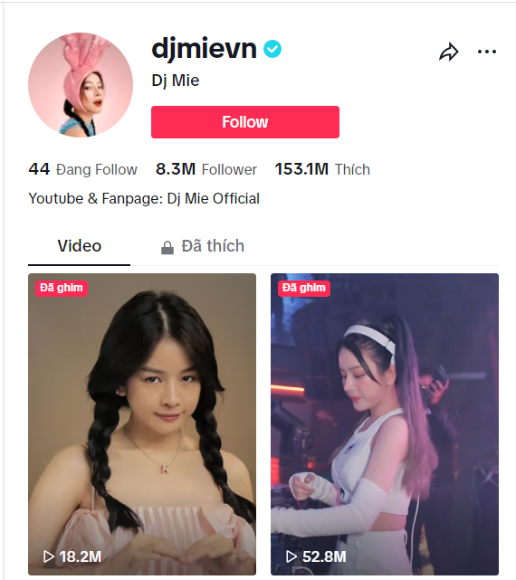 tiktok dj mie