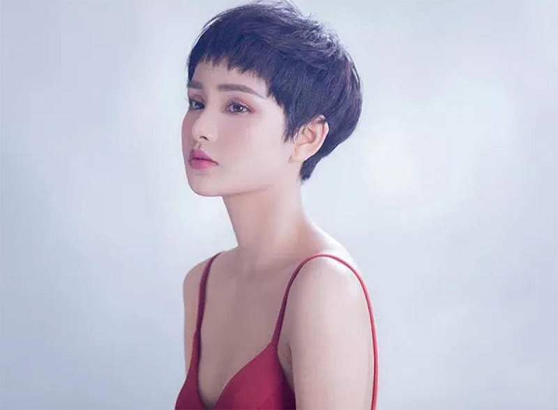 Hiền Hồ là ai? Tiểu sử và sự nghiệp ca sĩ Hiền Hồ mới nhất Hồ đến với con đường âm nhạc khi còn rất trẻ