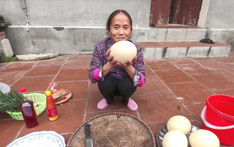 Bà Tân Vlog là ai? Quê ở đâu? Tiểu sử Bà Tân Vlog chi tiết Thành tích kênh Youtube của bà Tân