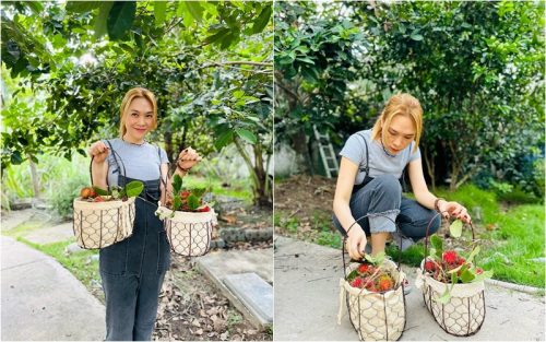 Khu vườn ngập hoa trái trong cơ ngơi ‘đi mỏi chân không hết’ của Mỹ Tâm