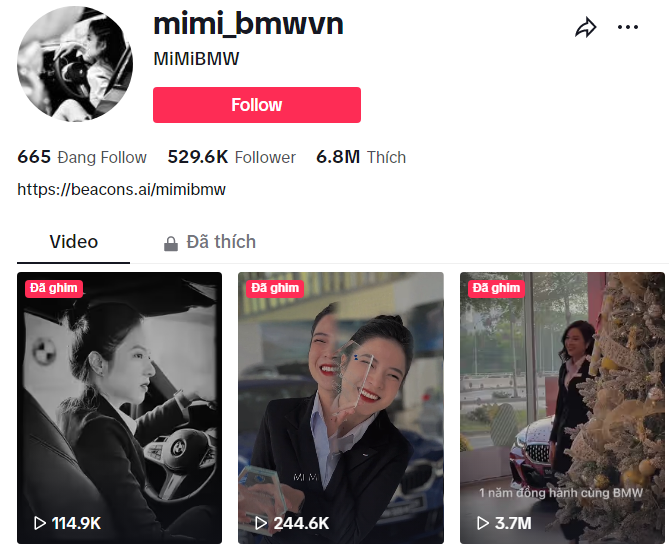 kênh tiktok diễm mi bmw