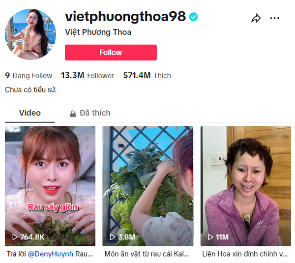 kênh tiktok của việt phương thoa